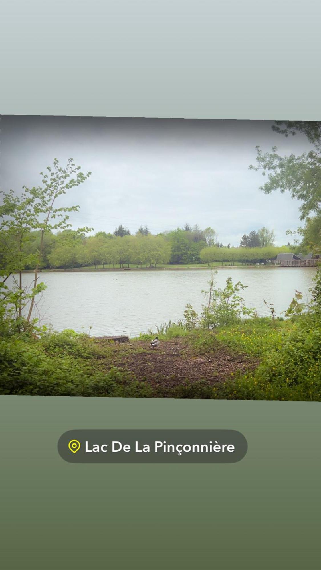 Quiniere - Entre Lac Et Foret - Hebergement Independant Avec Espace Kitchenette Blois Esterno foto